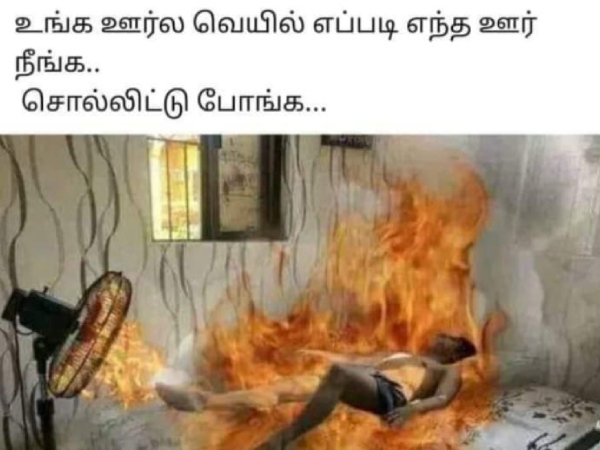 Funny memes collection on summar 12-03-2024