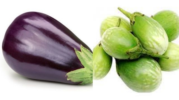 Amazing Health Benefits of Brinjal and who should not eat brinjal at all Can Diabetics take Brinjal