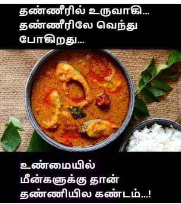 manjummel boys memes Funny memes collection on sunday meals 03-03-2024 manjummel boys memes Funny memes collection on sunday meals 03-03-2024