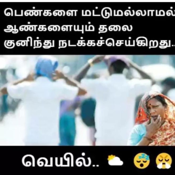 Funny memes collection on summar 12-03-2024