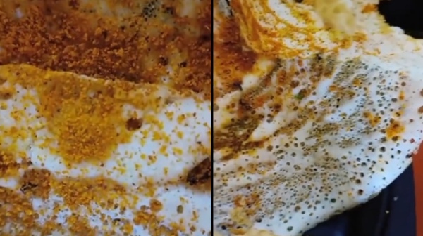 Who is this Delhi Ishani and 8 cockroaches in a Dosa served at the Famous Madras Coffee House Hotel Who is this Delhi Ishani and 8 cockroaches in a Dosa served at the Famous Madras Coffee House Hotel