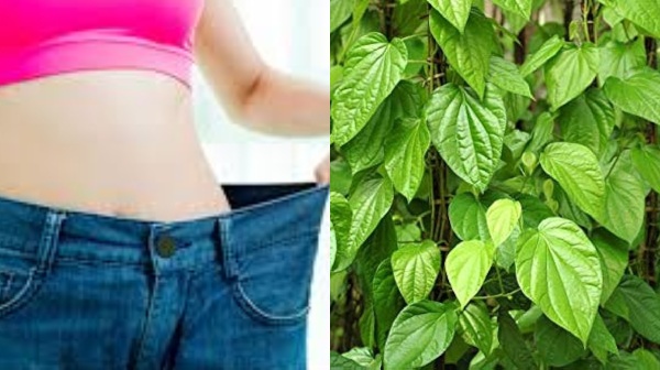 Super Health tips for Weight Loss and Do you know How to prepare Ginger Juice for Belly fat reduce