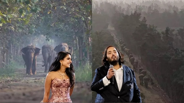 Anant Ambani s vantara zoo is one of the largest wildlife parks in India amazing information