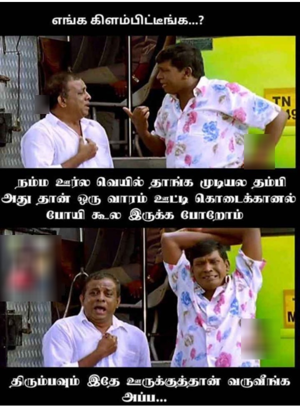 March Heat memes Funny memes collection on summar 11 03 2024