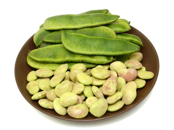 Do you know Super Benefits of Mochai Payaru and Mochai Kottai is the Excellent Medicinal food for all Do you know Super Benefits of Mochai Payaru and Mochai Kottai is the Excellent Medicinal food for all