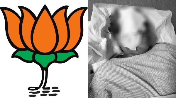A woman has been seriously injured as BJP flagpole fell in chennai korukkupet A woman has been seriously injured as BJP flagpole fell in chennai korukkupet