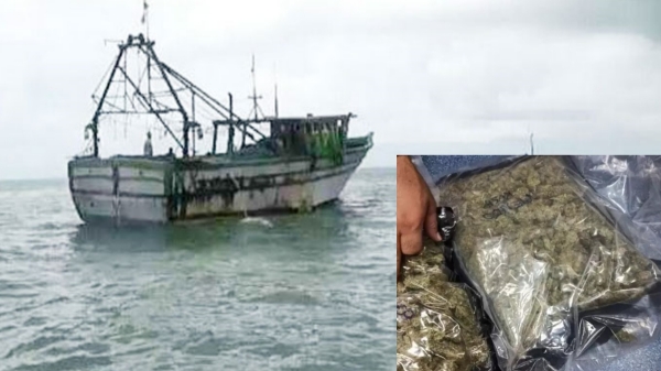 100 kg ganja oil seized from Rameswaram trying to smuggle to Sri Lanka