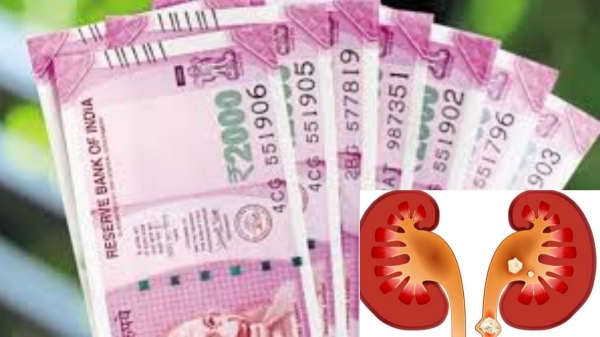 Who is this Bangalore Auditor and bengaluru man tries to sell kidney gets scammed out name of SBI Bank