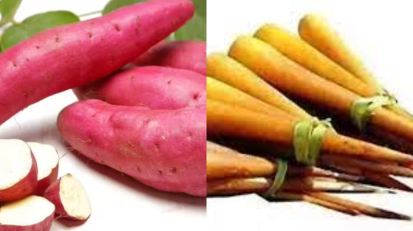 Amazing Health Benefits of Panankizhangu and Are Sweet Potato can have diabetes Super Health Tips