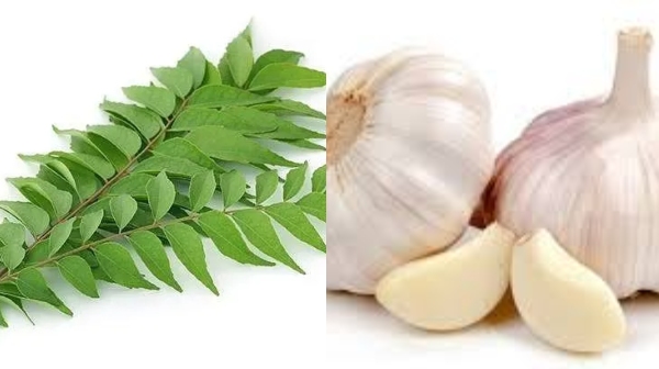 Do you know the Super Uses of Curry Leaves and Raw Garlic Water is the Best medicinal Drink for Weight Loss Do you know the Super Uses of Curry Leaves and Raw Garlic Water is the Best medicinal Drink for Weight Loss