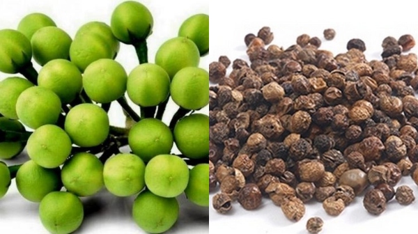 Amazing Health Uses of Sundakkai Vatral and Turkey Berry Leaf is the Best Medicine for Digestion