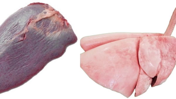 Do you know about the Super Health Uses of Goat Lungs and Mutton Spleen Suvarotti is the Best for Women Do you know about the Super Health Uses of Goat Lungs and Mutton Spleen Suvarotti is the Best for Women