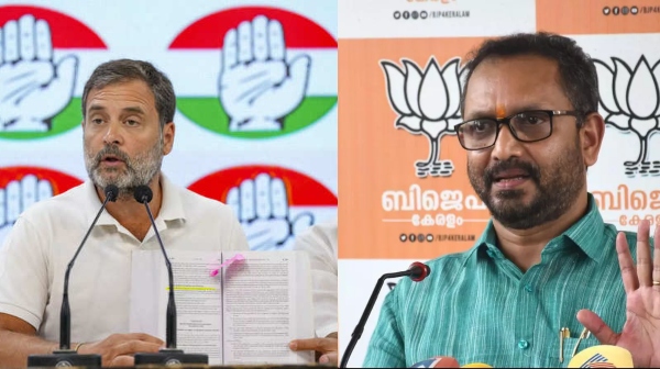There are 242 criminal cases against BJP candidates contesting against Rahul Gandhi in Kerala