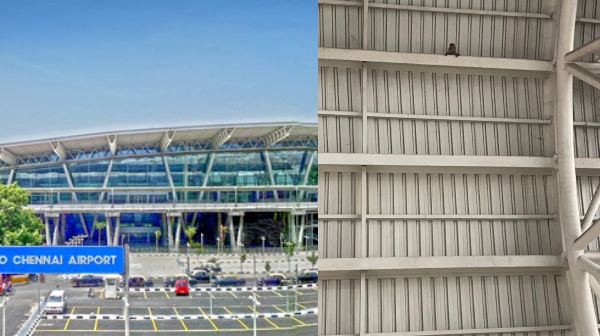 Monkeys and dogs roaming around Chennai airport passengers suffer