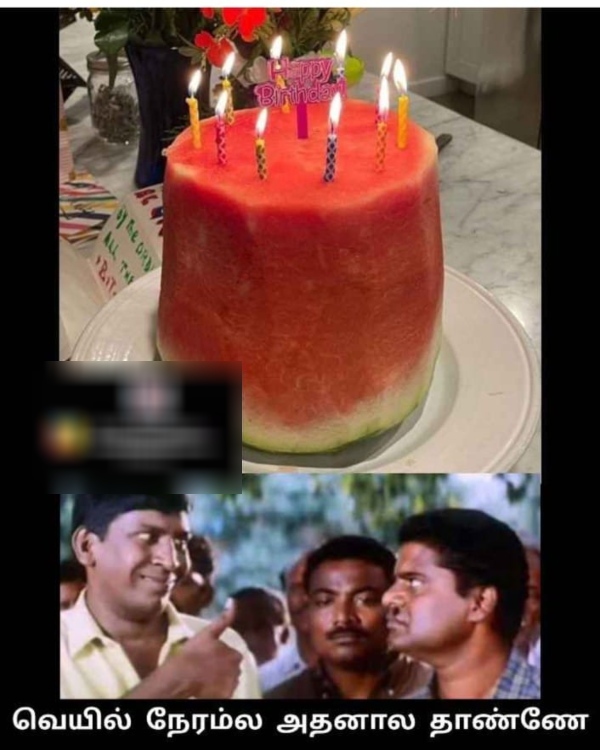 March Heat memes Funny memes collection on summar 11 03 2024