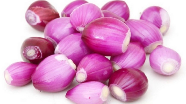 Super Health Benefits of Small Onion and what are the Excellent Medicinal uses of Small Onion Best Remedy for Skin diseases