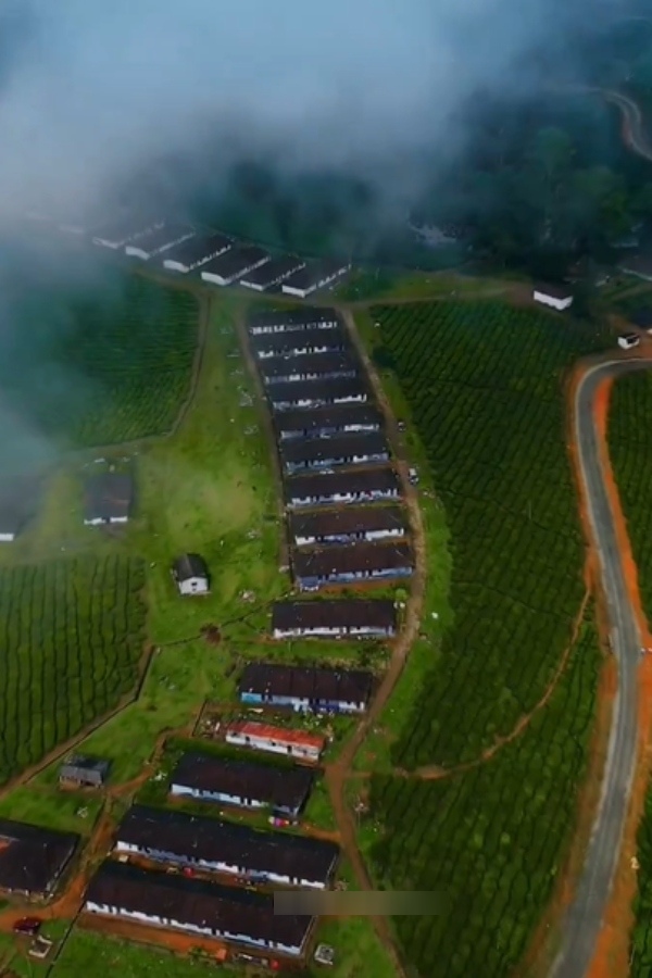 Go to Meghamalai instead of Kodaikanal Guna Cave Do you know how beautiful it is Fascinating video Go to Meghamalai instead of Kodaikanal Guna Cave Do you know how beautiful it is Fascinating video