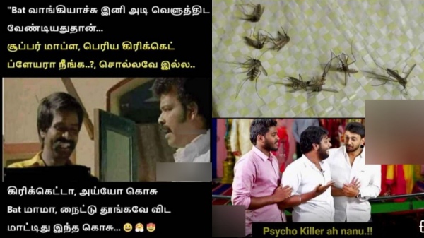 Funny memes collection on Mosquito 27-03-2024