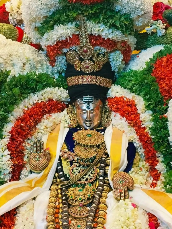 Mylapore Panguni Festival 2024 Kabaleeswarar today Dharsan Athikara Nandhi Vaganam