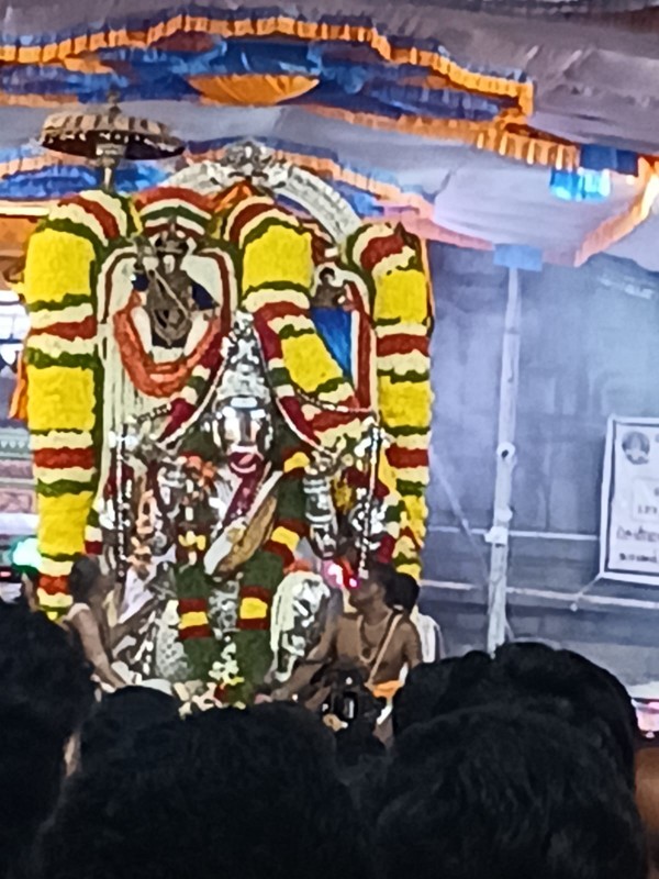 Mylapore Panguni Festival 2024 Kabaleeswarar today Dharsan Athikara Nandhi Vaganam