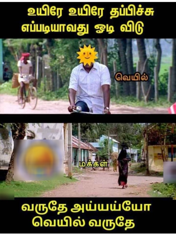 March Heat memes Funny memes collection on summar 11 03 2024