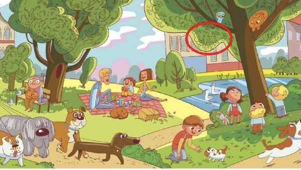 optical illusion Can you Find out Lion in this picture with in 6 Seconds