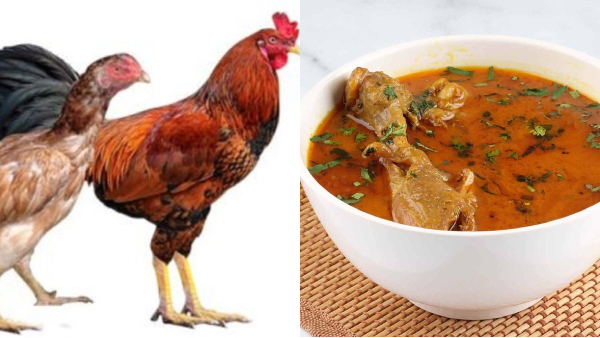 Do you know the Excellent Benefits of Naattu Kozhi Soup and Healthy Country Chicken Biriyani for Pregnant Ladies