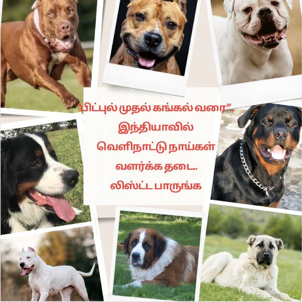 List of 23 Foreign Dogs Banned for Breeding in India