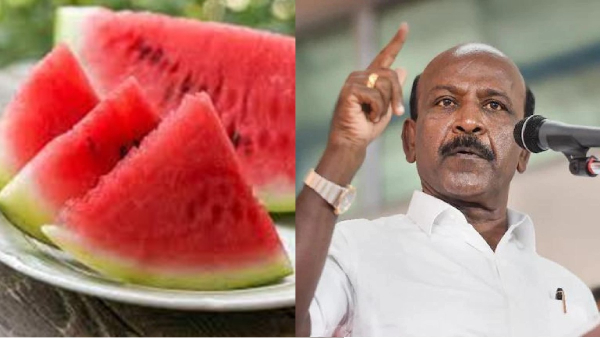 Action will be taken if artificial colour is found in watermelon fruits Minister M Subramanian Action will be taken if artificial colour is found in watermelon fruits Minister M Subramanian