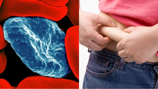 What are the Super benefits of Cabbage Juice and what are the Best Healthy Breakfast for Weight Loss