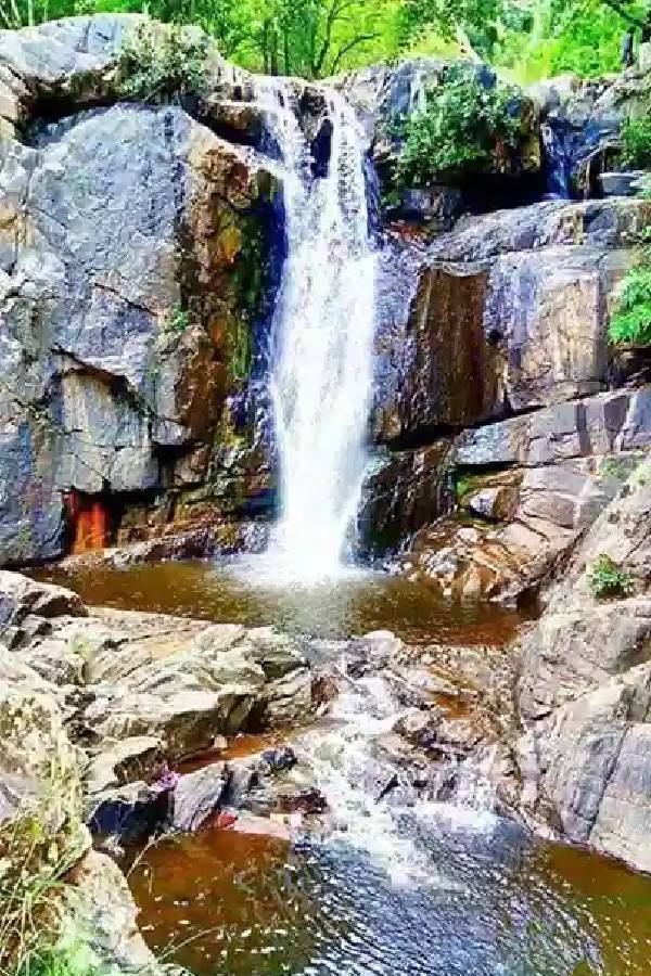 The pullaveli falls that excites the visitors of Kodaikanal People who do not know the danger