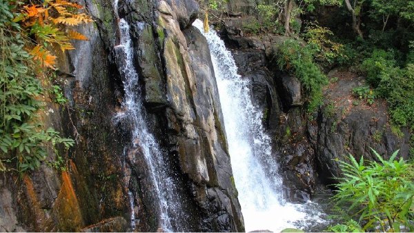 The pullaveli falls that excites the visitors of Kodaikanal People who do not know the danger