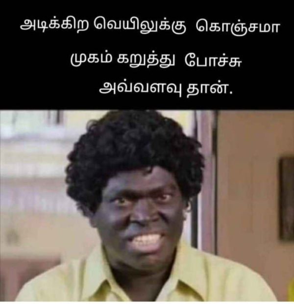 March Heat memes Funny memes collection on summar 11 03 2024