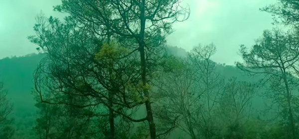 The Guna cave in Manjummel Boys is not entirely real