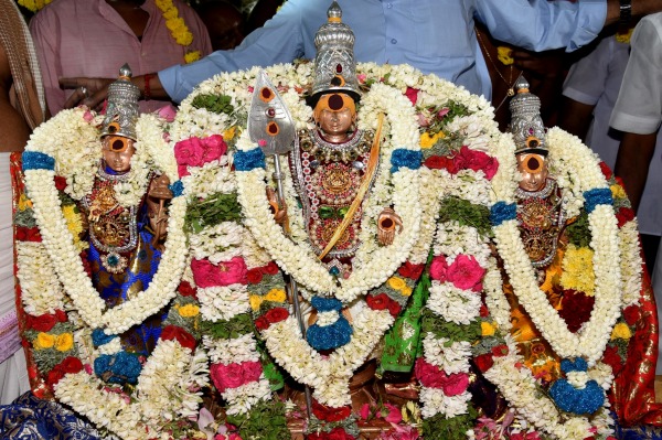 Panguni Uthiram 2024 Thirukalyanam held at Palani Murugan temple