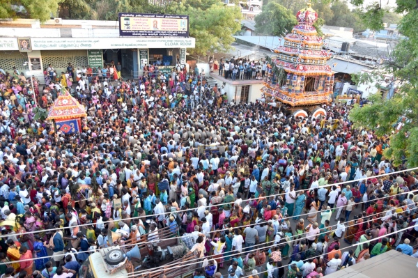 Panguni Uthiram Devotees throng in Palani Murugan Temple Chariot festival