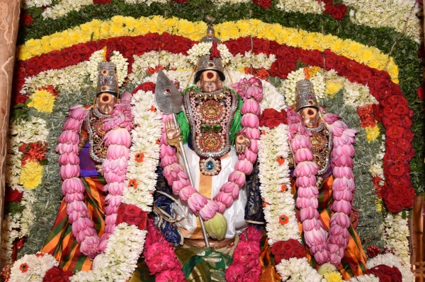Panguni Uthiram Devotees throng in Palani Murugan Temple Chariot festival