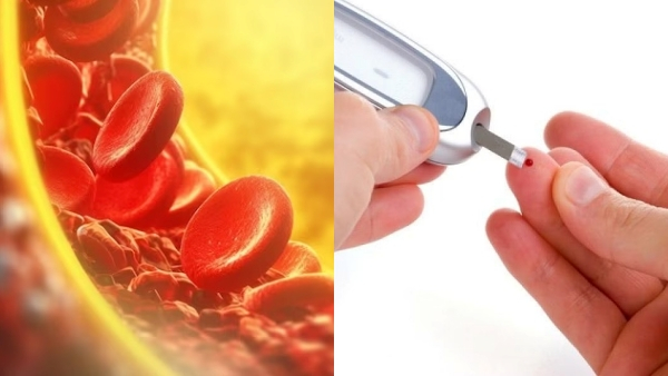 Can Diabetics eat Beetroot Carrot and what are the Best Medicinal Uses in the Sweet Potato