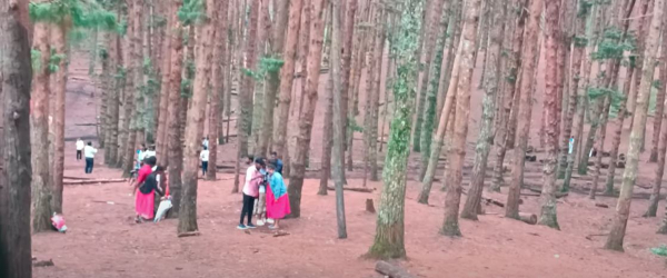 The Guna cave in Manjummel Boys is not entirely real