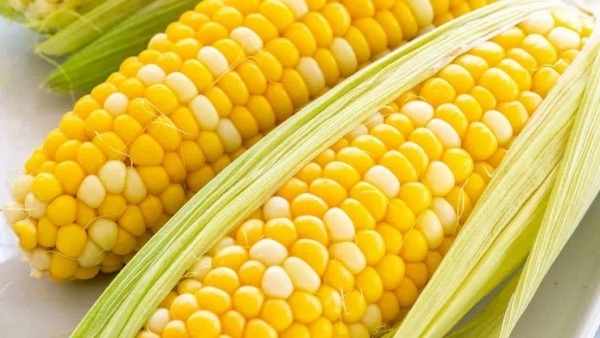 Super Health Benefits of Corn and Fantastic innumerable medicinal benefits in the Corn Amazing Uses