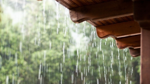 Meteorological Department has said that it will rain in Delta and Southern districts of Tamil Nadu today