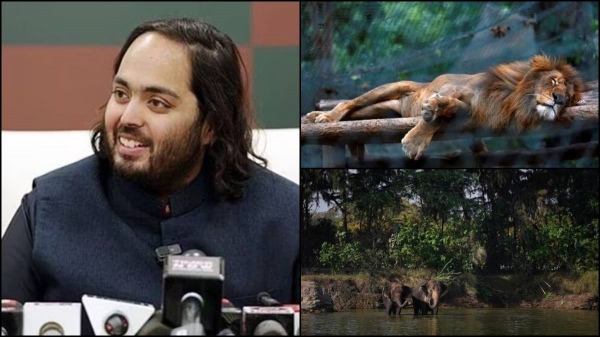 Excellent Effort about Vantara the 3000 acre animal shelter launched by anant ambani in jamnagar what are the Specialities