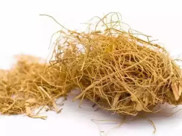Do you know the Excellent Health Benefits of vettiver and Super Medicinal Uses of Vetti Ver Water Do you know the Excellent Health Benefits of vettiver and Super Medicinal Uses of Vetti Ver Water