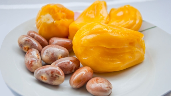 Fantastic Health Benefits of Jackfruit Seeds and Do you know How to prepare Jackfruit Seed Powder for Healthy Skin Fantastic Health Benefits of Jackfruit Seeds and Do you know How to prepare Jackfruit Seed Powder for Healthy Skin