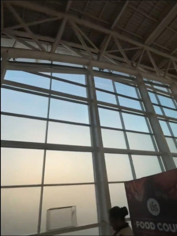 Monkeys and dogs roaming around Chennai airport passengers suffer