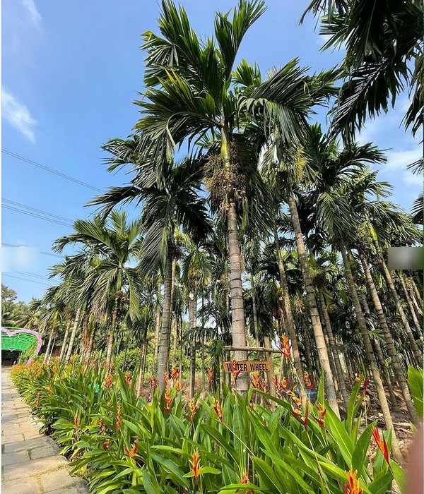 Do you know the best adventurous trip in Palakkad near Tiruppur and Coimbatore