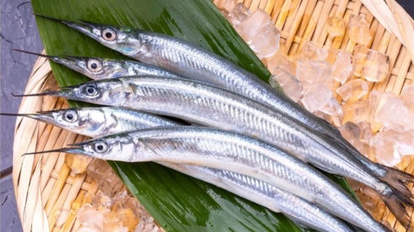 Super Health Uses of Mural Fish and what are the few types of Mural Fish, and its Amazing Benefits 