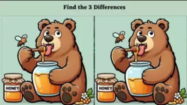 Only a genius with sharp eyes spot 3 differences between two bears