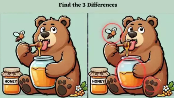 Only a genius with sharp eyes spot 3 differences between two bears