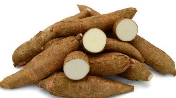 Fantastic Medicinal Benefits in the Maravalli Kizhangu and What are the Super Health Uses of Cassava Maravalli Kilangu
